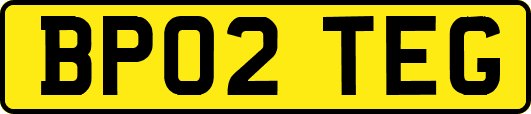 BP02TEG
