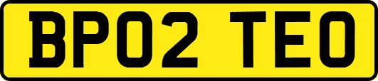 BP02TEO