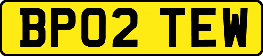 BP02TEW