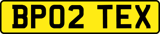 BP02TEX