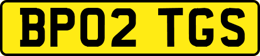 BP02TGS