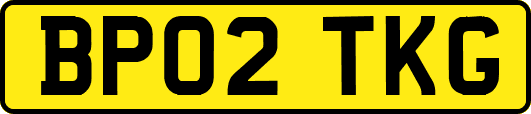 BP02TKG