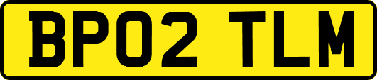 BP02TLM