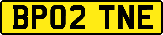 BP02TNE