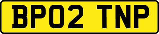 BP02TNP