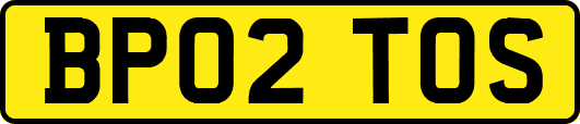 BP02TOS