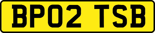 BP02TSB