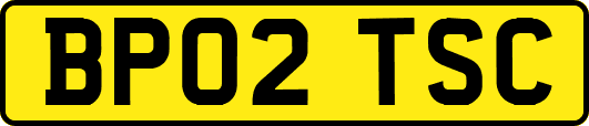 BP02TSC