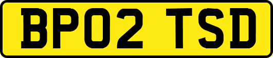 BP02TSD