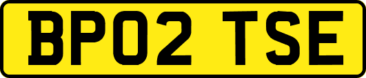 BP02TSE