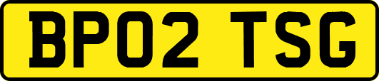 BP02TSG