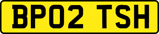 BP02TSH