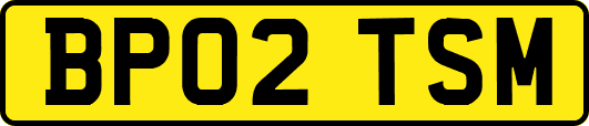 BP02TSM