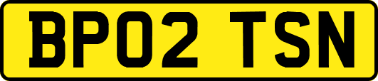 BP02TSN