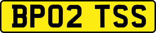 BP02TSS