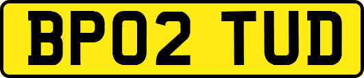 BP02TUD