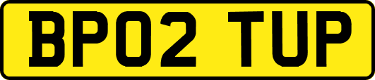 BP02TUP