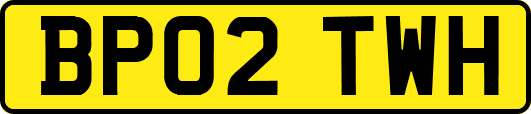 BP02TWH