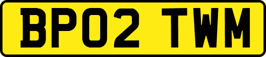 BP02TWM