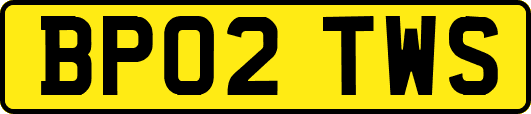 BP02TWS