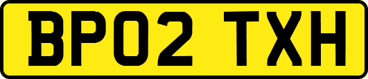 BP02TXH