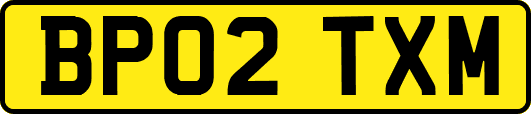 BP02TXM