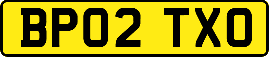 BP02TXO