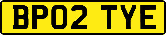 BP02TYE