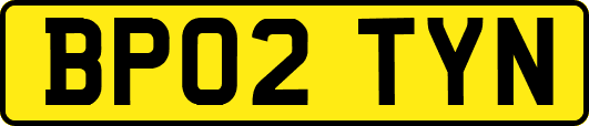 BP02TYN