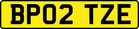 BP02TZE