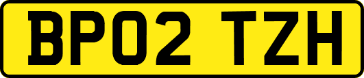 BP02TZH
