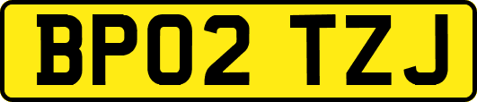 BP02TZJ