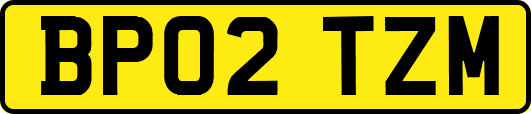 BP02TZM