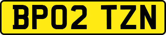 BP02TZN