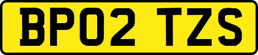 BP02TZS