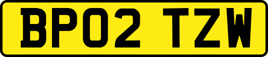 BP02TZW