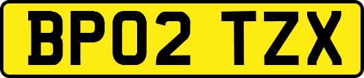 BP02TZX