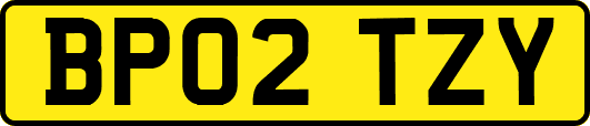 BP02TZY