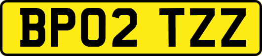 BP02TZZ