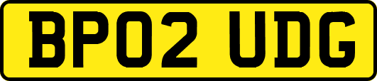 BP02UDG