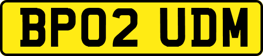 BP02UDM