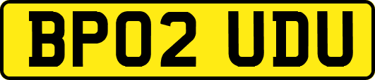 BP02UDU