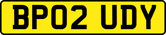 BP02UDY