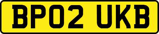 BP02UKB