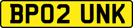 BP02UNK