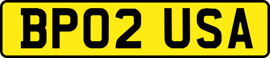BP02USA