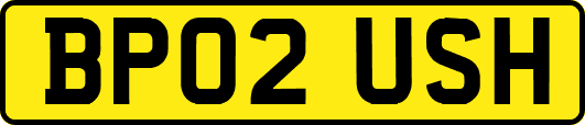 BP02USH