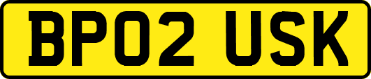 BP02USK