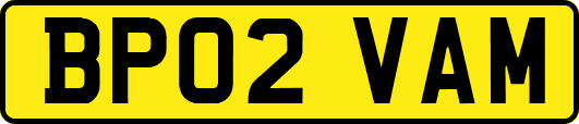 BP02VAM