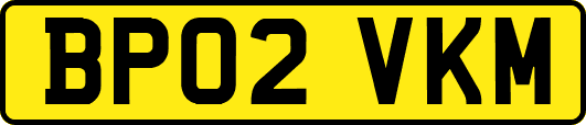 BP02VKM